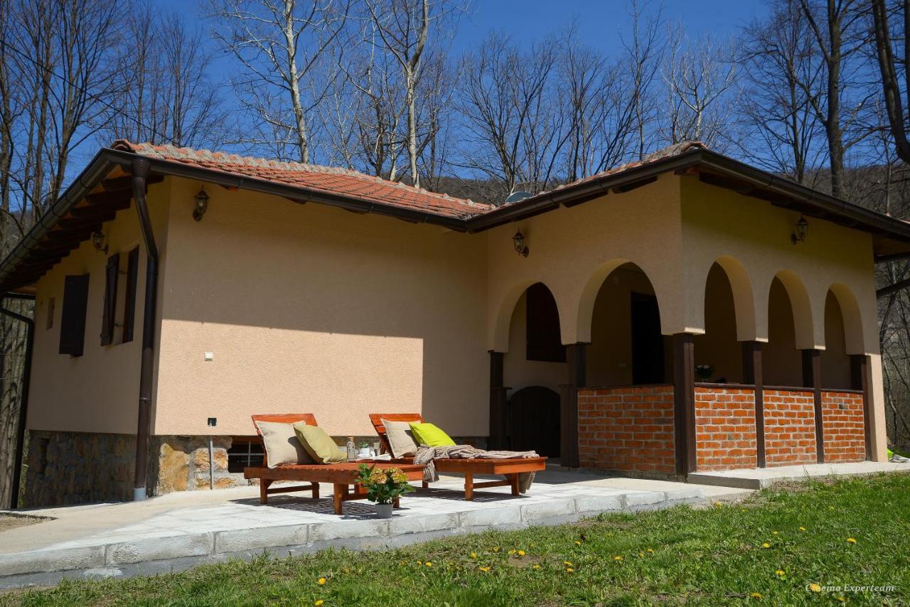 Lek Za Dusu Villa Despotovac Exterior foto