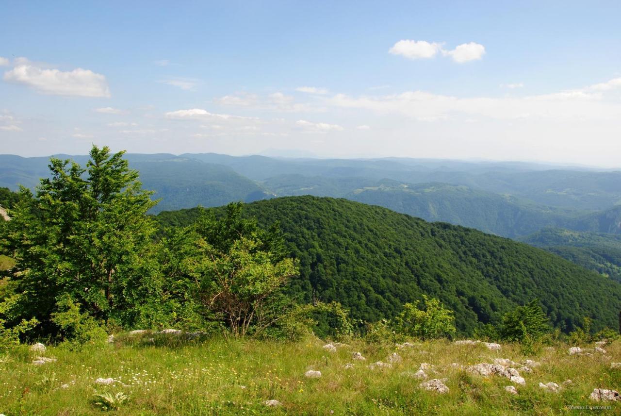 Lek Za Dusu Villa Despotovac Exterior foto